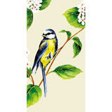 Boston International Guest Towels