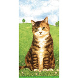 Boston International Pocket Tissues