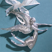Serenity Angels