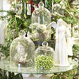 Winter Conservatory