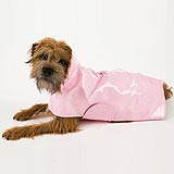 Canine Styles
