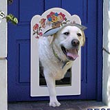 Classy Custom Luxury Pet Doors & Pet Door Frames