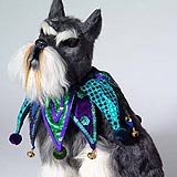 Katherine's Collection Doggie Couture