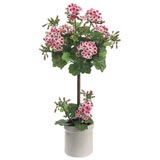 29in Geranium in Ceramic Pot in Beauty White by Allstate Floral