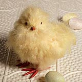 Yellow Fluffy Chick by Bethany Lowe
