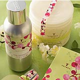 Thymes Red Cherie