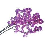 3-Stem Orchid Bouquet with 48 Mini Bulbs by Kikkerland